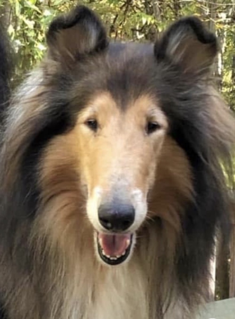 Coco, Bogart's mother